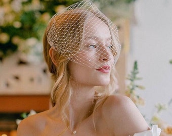 Rhinestone Birdcage Veil Bridal Crystal Veil Wedding Courthouse Veil Civil Ceremony
