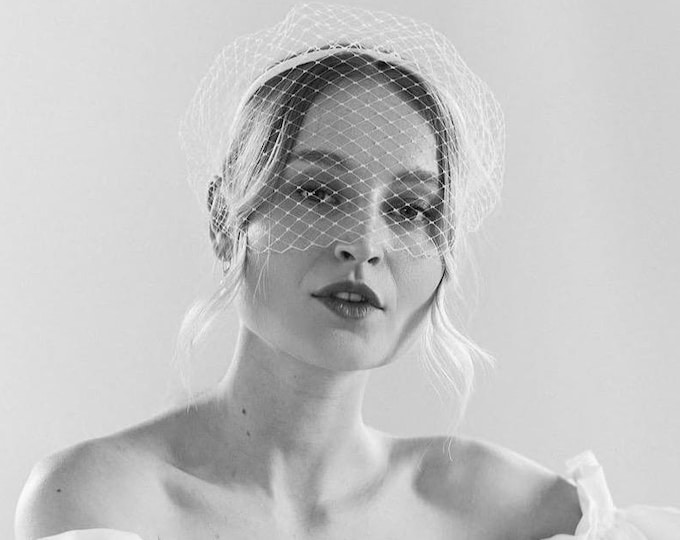 Bride Headband with Veil Birdcage Wedding Veil Headband Bridal Birdcage Veil Bridal Bird Cage Fascinator Custom Color