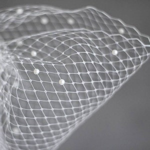 pearl birdcage veil