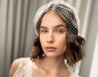 Civil Ceremony Veil Bridal Birdcage Veil Fishnet Face Veil Cage Fascinator Courthouse Wedding Headpiece Bachelorette