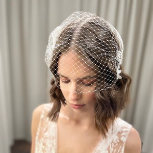 Floral Birdcage Veil, Flower Lace on Bridal Veil, Flower Veil, Wedding Veil, Bird Cage Veil image 2