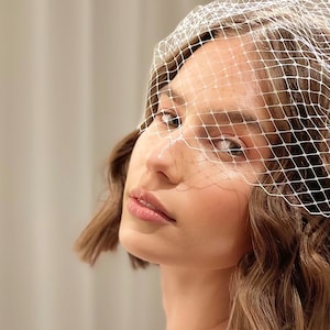 Ivory Birdcage Veil Short Bridal Face Veil Wedding Courthouse Headpiece Civil Wedding Veil Elopement
