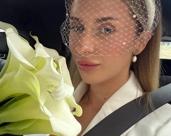 Bridal Headwear Wedding Veil Headpiece Veiled Bridal Birdcage Veil Headband City Hall Wedding Civil Ceremony Fascinator
