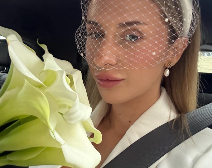 Bridal Headwear Wedding Veil Headpiece Veiled Bridal Birdcage Veil Headband City Hall Wedding Civil Ceremony Cocktail Fascinator