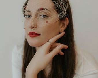 Heart Birdcage Veil Wedding Hair Accessory with Hearts Headpiece Valentines Day Veil Bachelorette Hen Party Veil