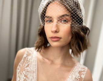 Bridal Birdcage Veil, Bridal Bandeau Veil, Ivory Bird Cage Veil, White Face Veil, Black Net Veil, Champagne Veil Civil Wedding Courthouse