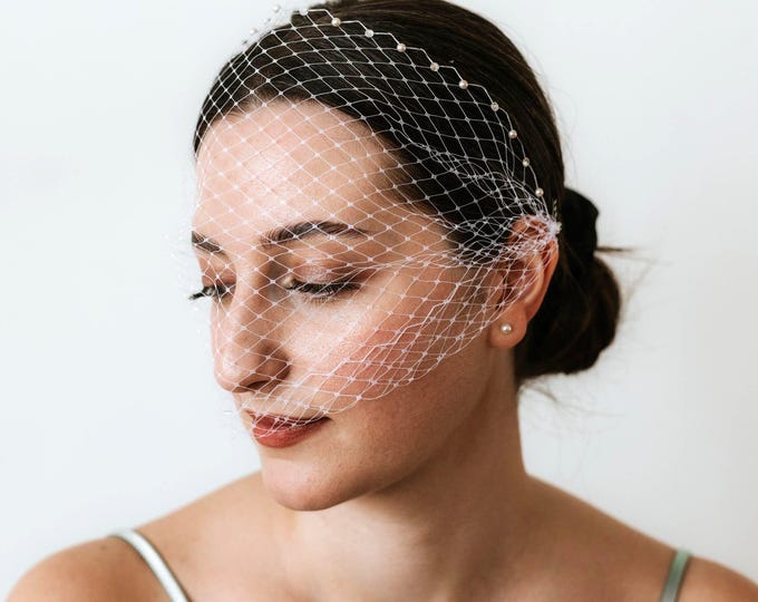 Birdcage Veil with Crystal Edge with Pearls: Rhinestones Wedding Veil Civil Ceremony