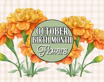 October Birth Month Flower Clipart, Watercolor Marigold Bouquet, Birth Flower PNG, October Floral Illustration