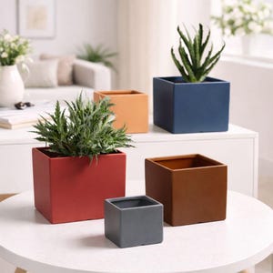 Könnte beinhalten: Eine Auswahl an quadratischen Pflanzgefäßen in verschiedenen Farben wie Rot, Orange, Blau, Braun und Grau. Jedes Gefäß enthält eine andere grüne Pflanze. Die Töpfe stehen auf einem weißen Tisch und bieten eine moderne und stilvolle Präsentation für Zimmerpflanzen. Maße in cm.