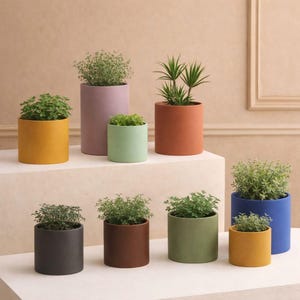 May include: A selection of cylindrical plant pots in shades like yellow, purple, and blue. Each pot contains a different green plant. The pots are displayed on a white surface against a neutral backdrop.