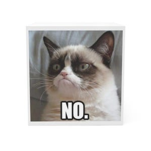 May include: A white cube displaying a meme of a cat with a grumpy expression and the word "NO." in white, bold text. The cat's fur is a mix of brown, white, and black. The background is a soft, light blue, creating a humorous contrast.