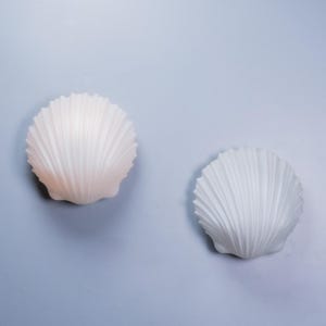 May include: Two semi-circular wall lights shaped like scallop shells. The left light is a warm, pale peach colour, while the right light is a cool, crisp white. Both fixtures feature vertical ribbed textures radiating from the base.