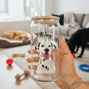 May include: A clear glass tumbler with a wooden lid and a glass straw. The tumbler features a Dalmatian dog portrait with the name "Benny" in script. The tumbler is held by a person.