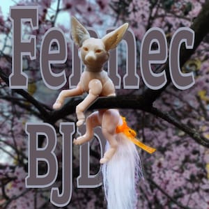 Fennec Fox BJD Doll: Handmade 3D Printed Customizable Pet