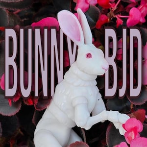 May include: A white articulated bunny figure with pink accents, set against a backdrop of vibrant pink flowers and dark foliage. The text "BUNNY BJD" is overlaid on the image. The bunny is posed with its front paws extended.