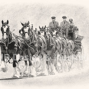 St. Louis Cardinals Greeting Cards Clydesdales