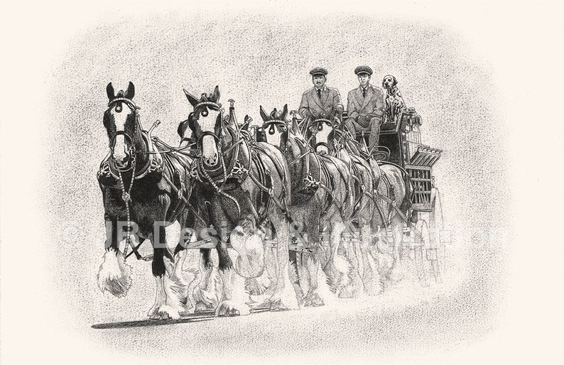 St. Louis Cardinals Greeting Cards Clydesdales