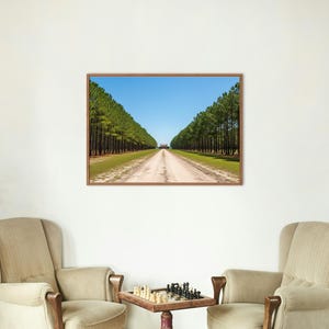 May include: A framed landscape photograph of a dirt road lined with tall green trees on either side, leading to the horizon under a clear blue sky. The image is in a wooden frame.