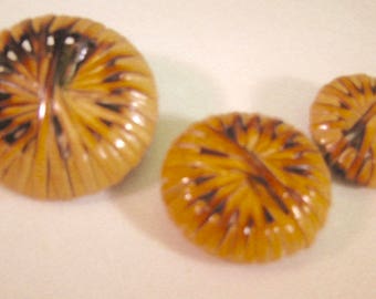 Bamboo Button Lot of 2  .(Vintage) 3 Sizes Extra Large Natural Buttons