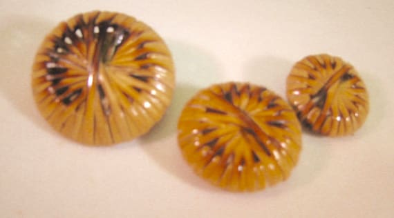 Lot De Boutons Anciens En Nacre Et Bois Bambou – Mercerie Vintage Promo
