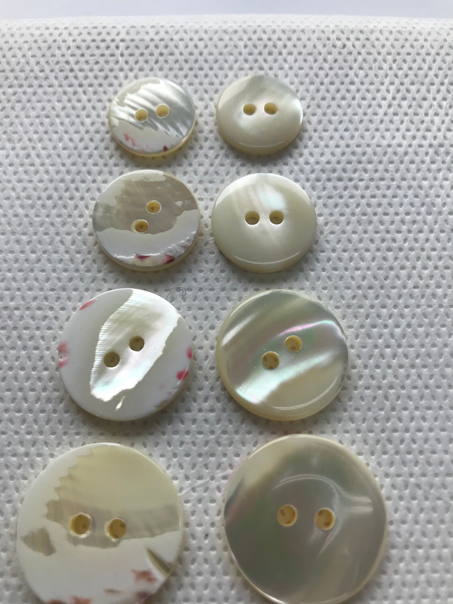 Natural Mop Shell Buttons. 2 hole Real Shell 4 Sizes Etsy