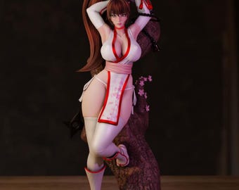 Anime Ninja Girl Figure, Fantasy Warrior Statue, Hand Painted Collectible Figurine, Desk Decor, Adult NSFW Version Available