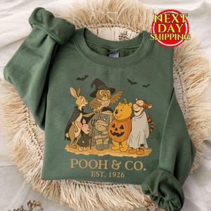 Retro Winnie the Pooh Halloween Sweatshirt, Hoodie or Tee, Pooh & Friends