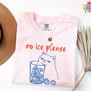 Comfort Colors® No ICE Please Shirt, No Ice Cat Meme Shirt, Pro Immigration Tee, Abolish ICE Shirt, Social Justice Protest Top, Anti Ice Tee image 3