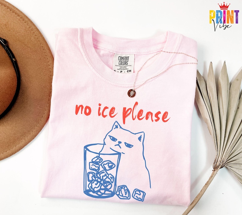 Comfort Colors® No ICE Please Shirt, No Ice Cat Meme Shirt, Pro Immigration Tee, Abolish ICE Shirt, Social Justice Protest Top, Anti Ice Tee image 3