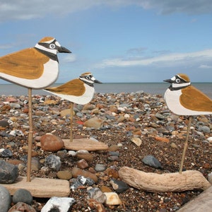 Folk art driftwood art sculpture of little ringed plover wading bird.
