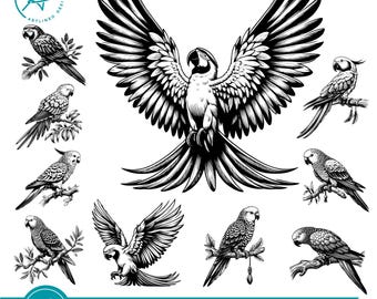 Vintage Parrot SVG Bundle : Macaw & Parakeet Line Art Illustrations (digital download)