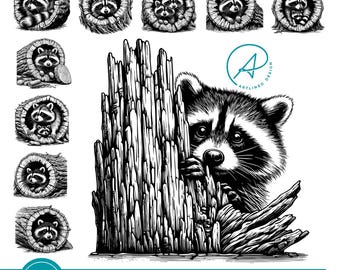 Raccoon SVG Bundle : Woodland Animal Clipart (digital download)