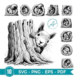 May include: Black and white illustrations of squirrels in various poses. One squirrel peeks from behind a tree trunk, while others are nestled in tree hollows. The image includes the text "10 DESIGN" and file type options.