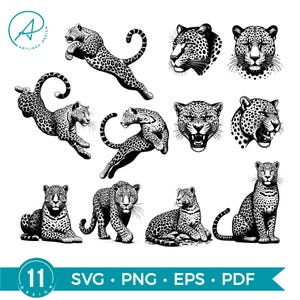 Puede incluir: Ilustraciones en blanco y negro de leopardos en varias poses, incluyendo saltos y retratos. La imagen incluye el texto "11 SVG • PNG • EPS • PDF" y el logotipo "Artlineo Design".