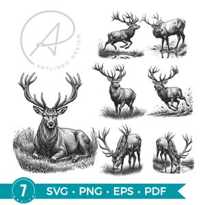 Puede incluir: Ilustraciones en blanco y negro de ciervos en varias poses, corriendo, de pie y pastando. Las imágenes son detalladas y artísticas, con un enfoque en las cornamentas y la estructura corporal de los ciervos. El diseño incluye el texto "SVG • PNG • EPS • PDF".