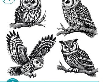Vintage Owl Clipart: Hand-Drawn Illustrations SVG Bundle (Digital Download)