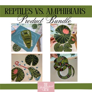 May include: A product bundle with the text "REPTILES VS. AMPHIBIANS Product Bundle." The image shows four panels with illustrations of reptiles and amphibians, including a crocodile, lily pads, a frog, and a snake.