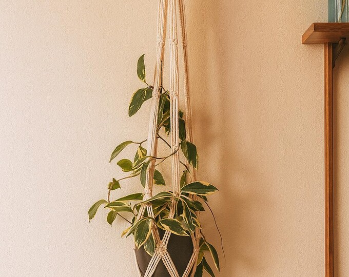 Featured listing image: Custom Macrame Plant Hanger: Boho Style, Choose Your Color