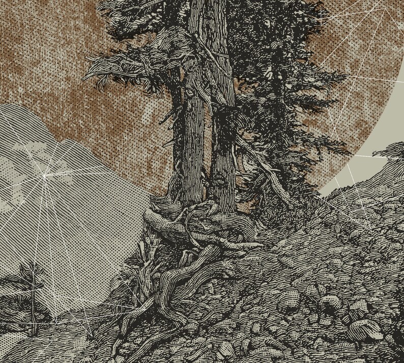 Timberline Graphics Men's Mountain T-shirt - Timberline - Screen Printed Graphic Tees for ...