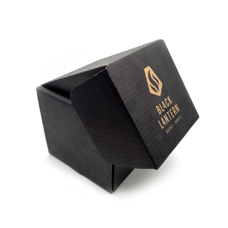 Black Lantern Nature Coffee Mug