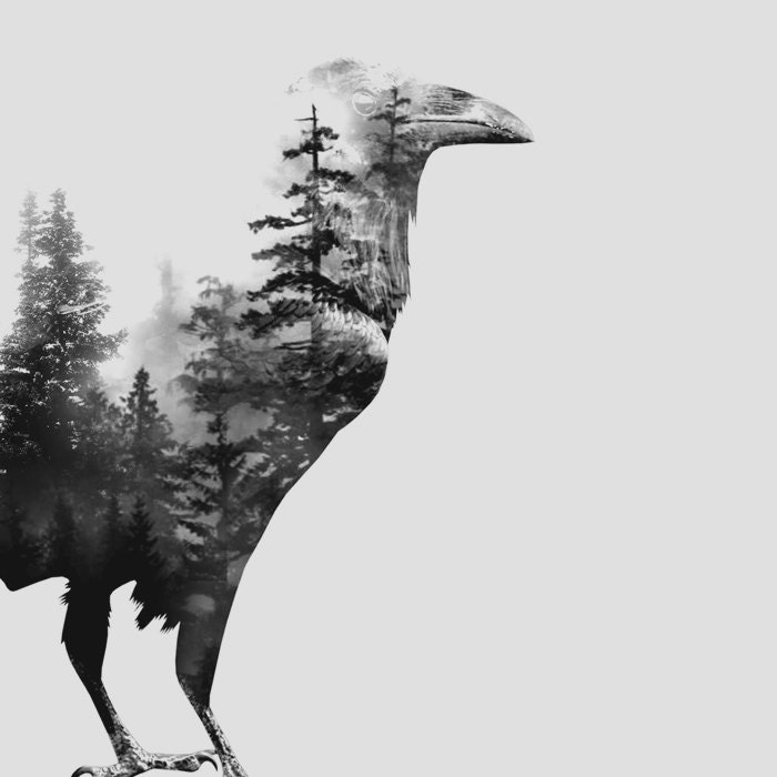 All Cotton Graphic Tees for Men Blackbird & Forest Double - Etsy
