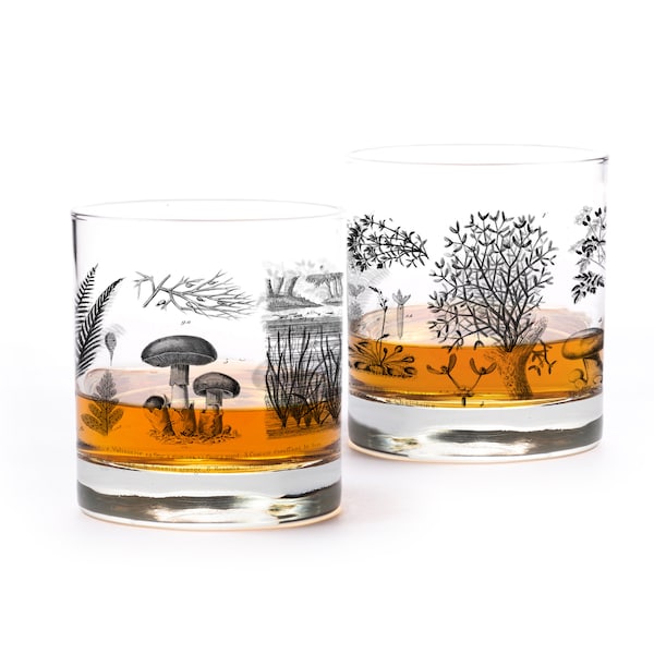 Whiskey Glasses - Vintage Botanical and Mushroom Chart - Foliage and Foraging Whiskey Tumbler Glasses - Set of 2 Plant Themed Rock Glasses