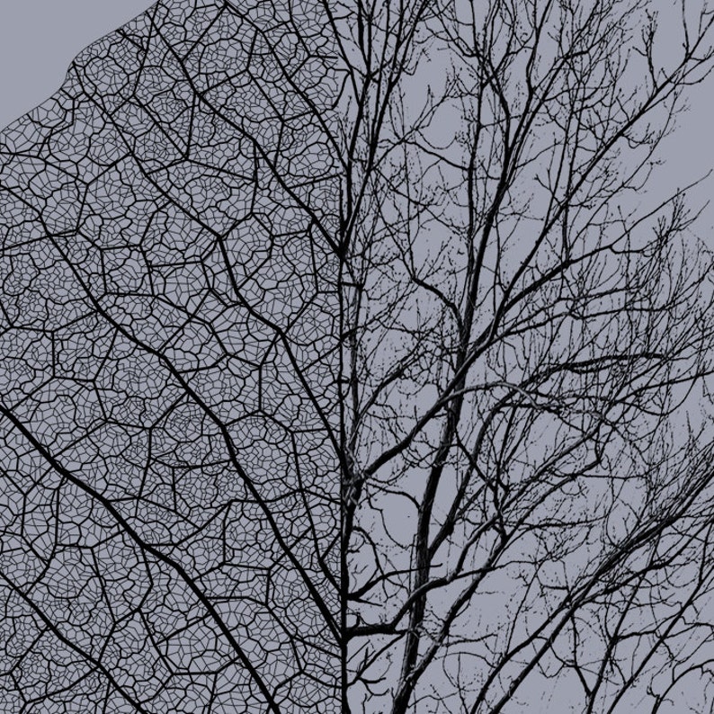 Hand-drawn tree and leaf graphic on tri-blend shirt
