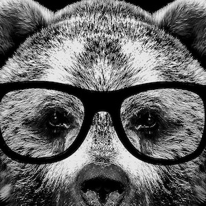 Funny Bear Graphic Tee Wise Bear Funny T Shirt Funny Bear Tshirt Bear with Glasses Mens Tshirt 画像 3