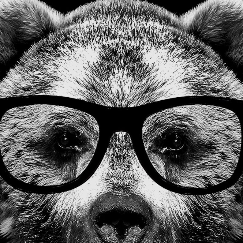 Funny Bear Graphic Tee Wise Bear Funny T Shirt Funny Bear Tshirt Bear with Glasses Mens Tshirt image 3