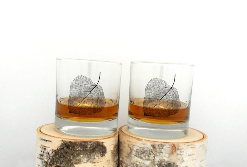 Retro Mountain Range Tumblers Set of Two 11oz Whiskey Glasses