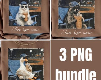 Mapache PNG "Vivo aquí ahora", Mamá beisbolera divertida PNG, Diseño de camiseta de mapache relajado, Estética de mamá de softbol, Gráfico de ambiente de juego nocturno