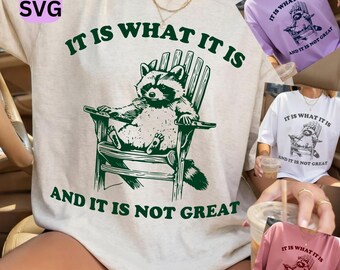 Funny Raccoon PNG svg, It Is What It Is Quote Design, Retro Animal Graphic, Sarcastic Humor Shirt PNG, Cute Trash Panda SVG