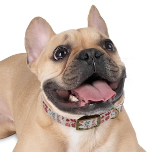 Floral Dog Collar | Waterproof Dog Collar, Cute Dog Collars, Dog Gear, Gifts for Pet Lovers, Dog Gifts, Dog Accessories, Pet Gifts