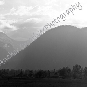 May include: Panoramic black and white landscape photograph of a mountain range. The image features rolling hills, a line of trees, and a cloudy sky. The sun is shining through the mountains, creating a bright spot in the center of the image.
